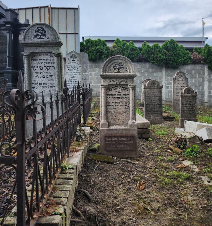 החלקה היהודית בבית העלמין בזמון (צילום: באדיבות ריקי מנדל) בית העלמין בזמון