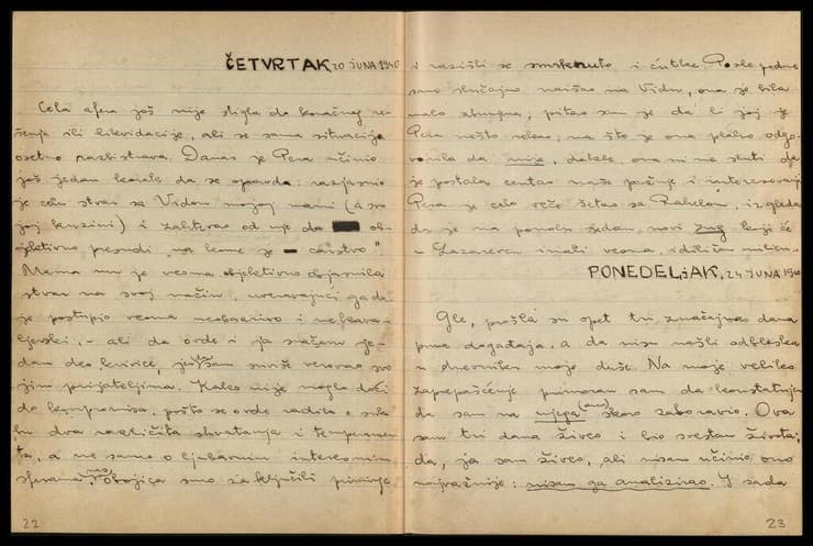 אחת המחברות של לאון וייס