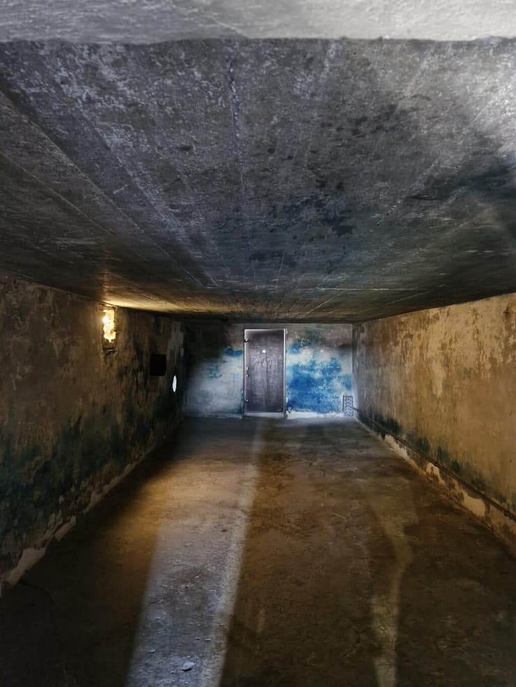 הסימנים הכחולים שנותרו לאחר שריפת היהודים בתאי הגזים (צילום: בית אקשטיין מקבוצת דנאל) הסימנים הכחולים שנותרו לאחר השימוש בגז בתאי הגזים