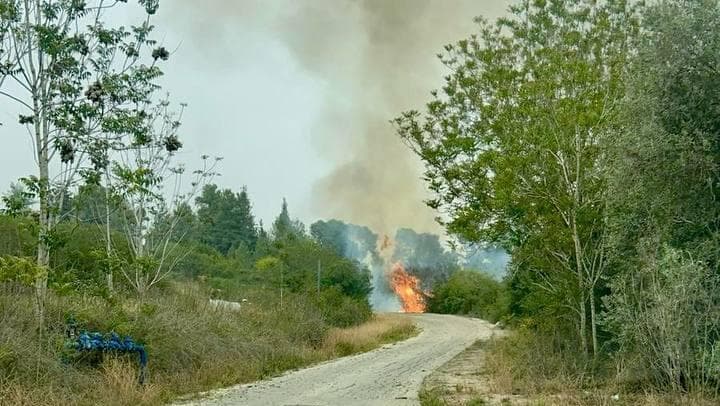 שריפה בכניסה למושב תרום