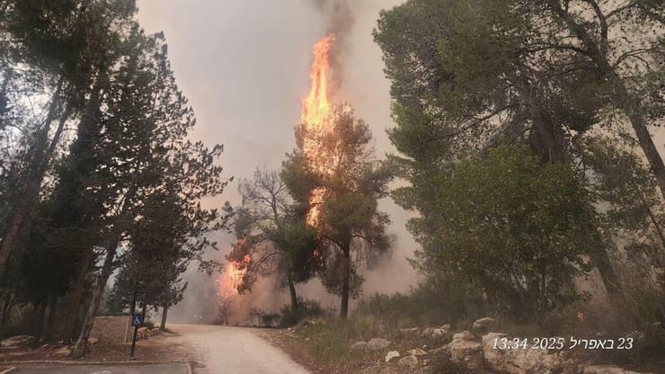 שריפות ביערות צרעה ואשתאול