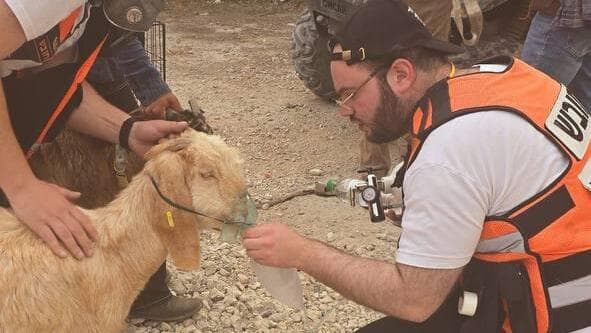 מפנים עז מהשריפות במסילת ציון