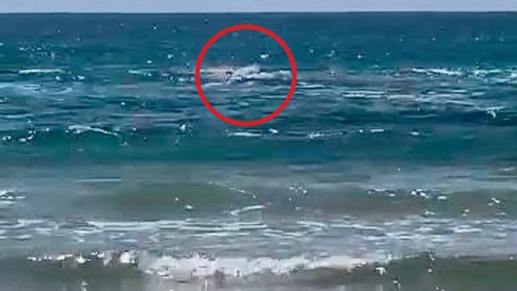 רגעי האימה בהם הותקף ברק צח ז"ל