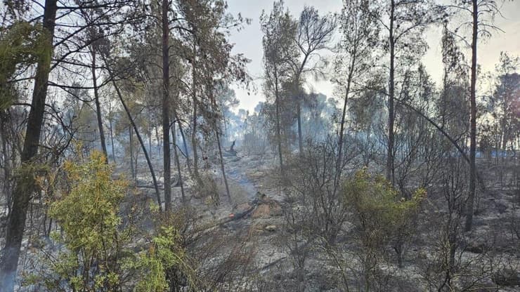 מניעת התפשטות מוקדי השריפה ביערות הרי ירושלים