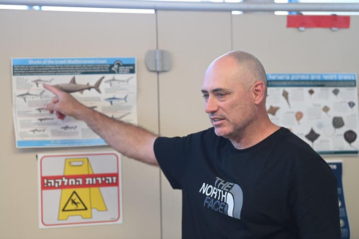 ד"ר זיו צמח־שמיר