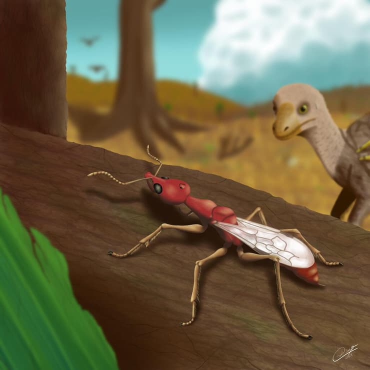 הדמיה של נמלת הגיהינום Vulcanidris cratensis שהתגלתה בברזיל