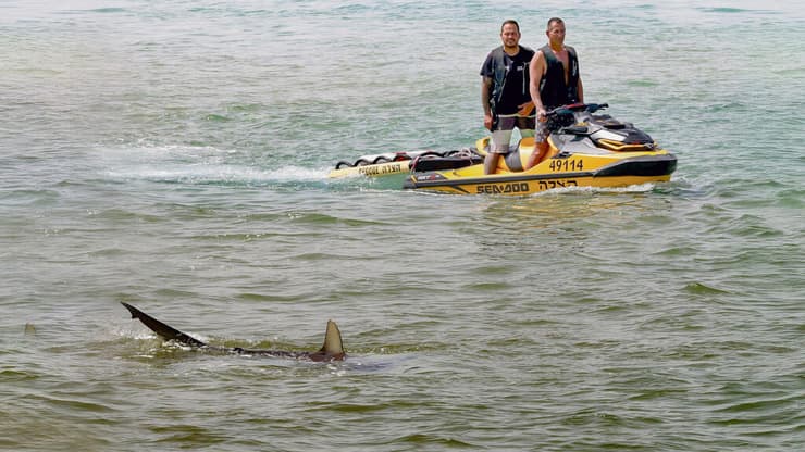  כריש בזירת החיפושים אחרי ברק בחוף חדרה