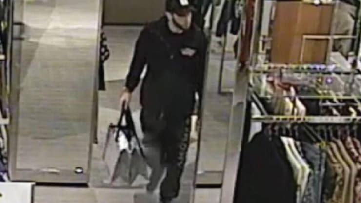 אורן דוד סלע