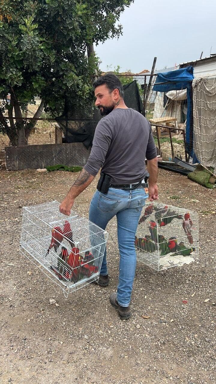 מחזירים את התוכים שנגנבו