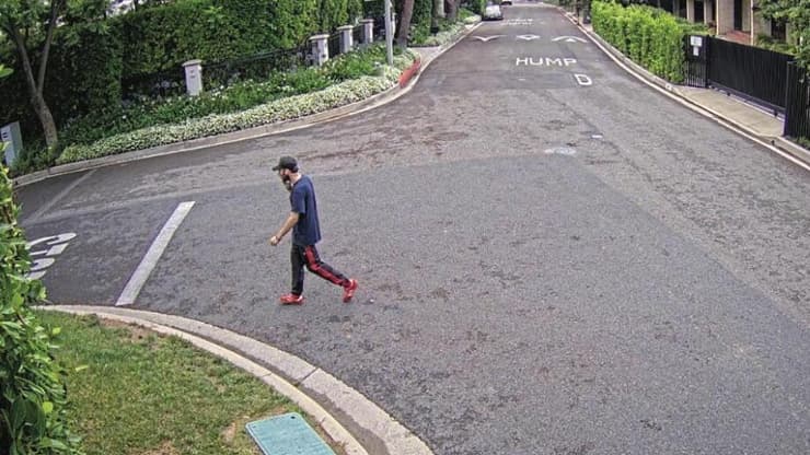 אורן דוד סלע