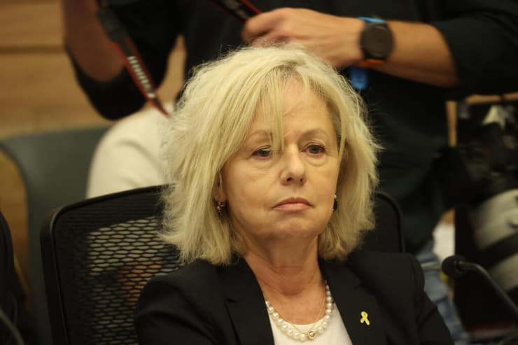  ועדת החוקה חוק ומשפט