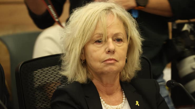  ועדת החוקה חוק ומשפט