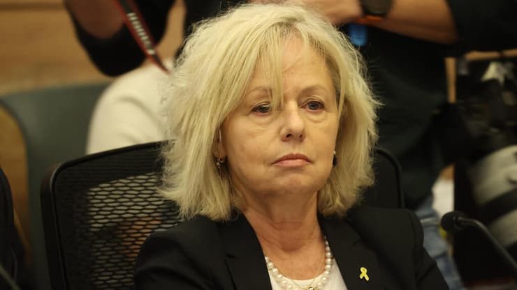  ועדת החוקה חוק ומשפט