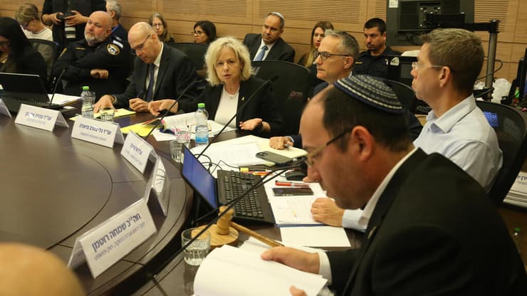 "לא ויכוח טכני" (צילום: עמית שאבי) ועדת החוקה חוק ומשפט