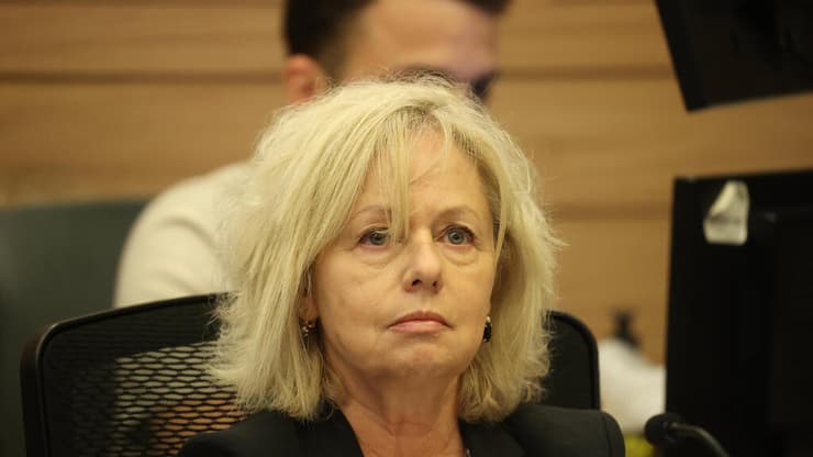  ועדת החוקה חוק ומשפט