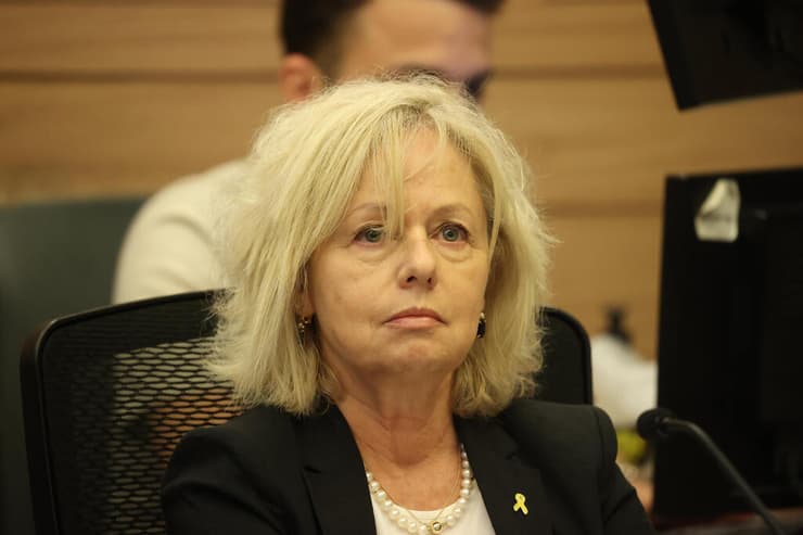 בהרב-מיארה (צילום: עמית שאבי) ועדת החוקה חוק ומשפט