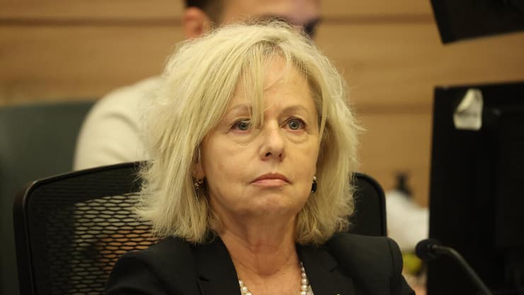 "העניין נמצא בבחינה משפטית". היועמ"שית בהרב-מיארה (צילום: עמית שאבי) ועדת החוקה חוק ומשפט