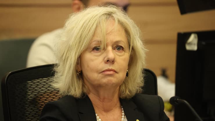  ועדת החוקה חוק ומשפט