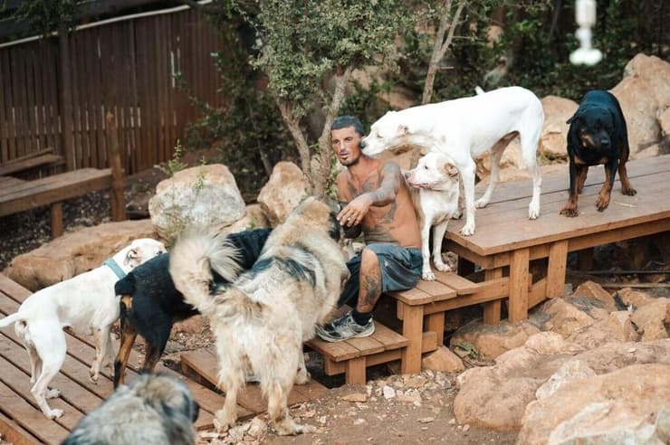 יובל מנדלוביץ' עטוף באהבת הכלבים שלו