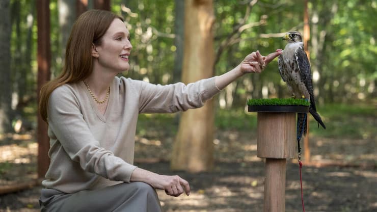 מתוך "סירנות"