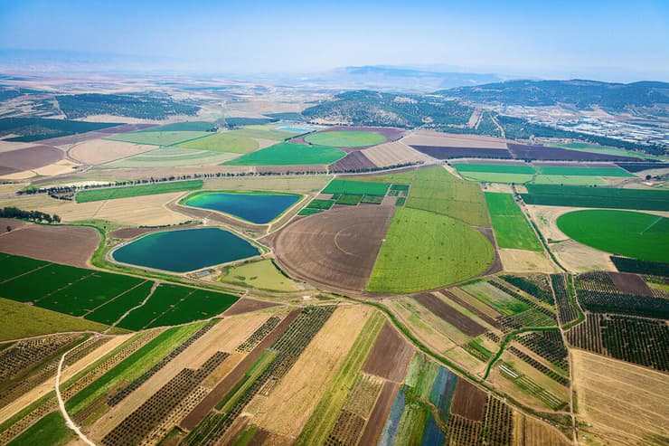 שדות עמק יזרעאל