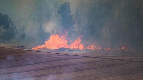 צילום: דוברות כבאות והצלה