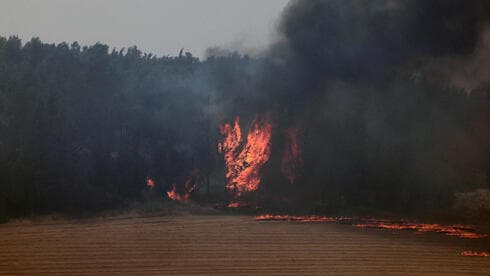 צילום:  Ahmad GHARABLI / AFP