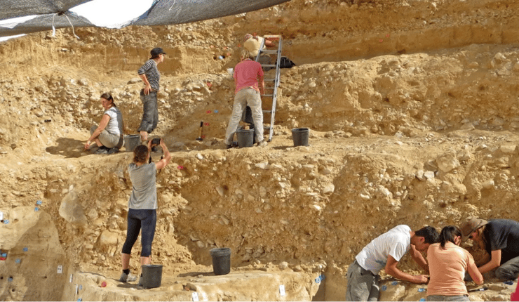 מעבר מהיר יחסית בין תרבויות באירוע ההגירה האחרון של האדם המודרני מאפריקה. החפירות באתר בוקר תחתית 