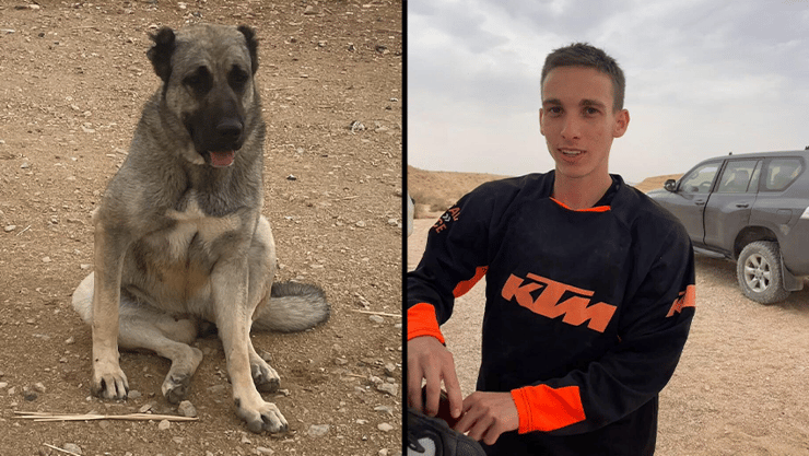 חצאים רועי סרגוסטי, אלגה כלבה של אבי אבא של ה חייל חלל רועי סרגוסטי נגב נגנבה נעלמה