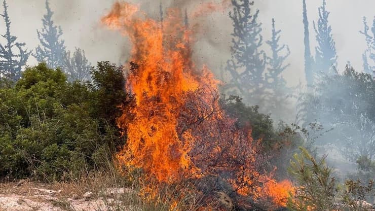 האש מתלקחת ביער אשתאול