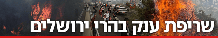 כותרת גג 850 שריפת הענק בהרי ירושלים 