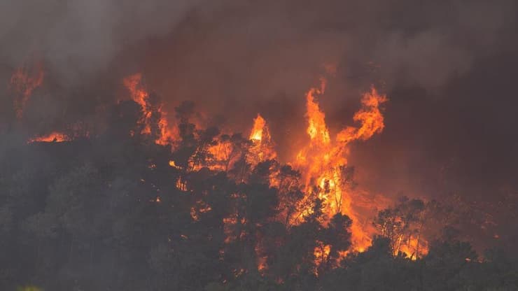 שריפות ענק באזור שער הגיא