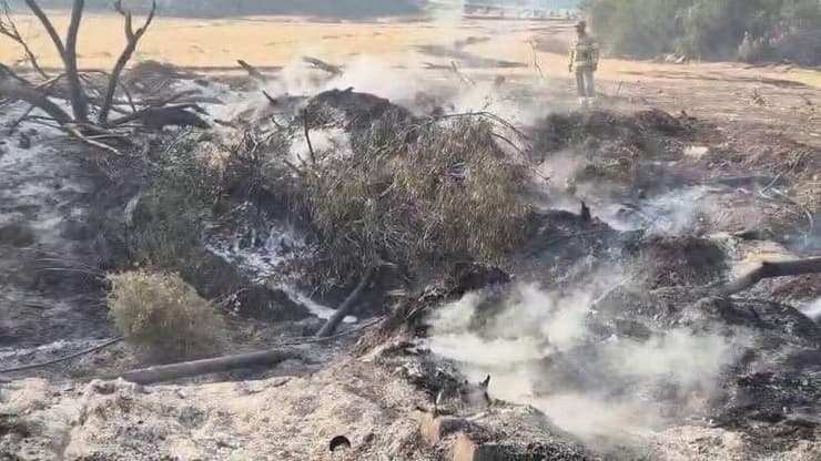 נזקי השריפות ביער אשתאול