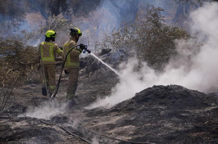 תיירי שריפות ניצלו את נקודת התצפית כדי לבהות בלהבות השוככות. כבאים נאבקים באש בלטרון (צילום: שלו שלום) נזקי השריפה במחלף לטרון