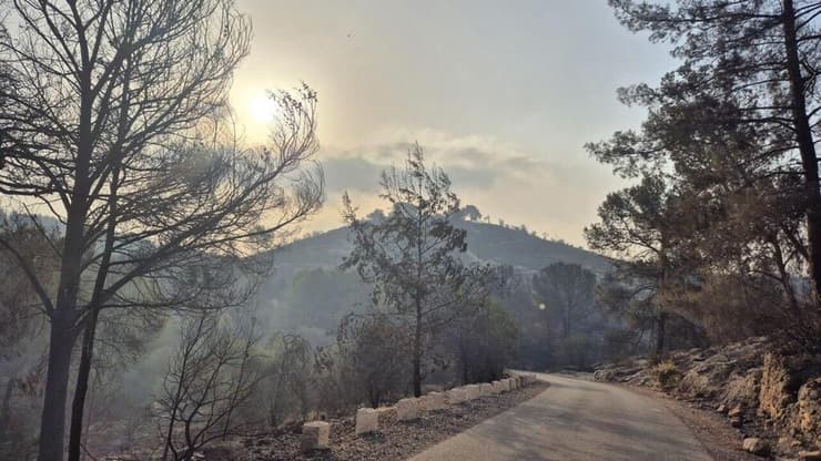 השריפה ביער קנדה