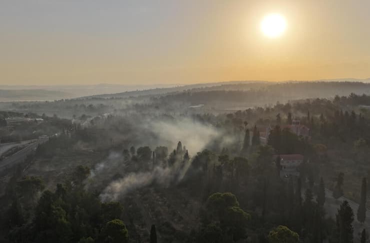 נזקי השריפה בלטרון. "פוטנציאל שעדיין לא הכרנו - בגלל הבצורת" (צילום: REUTERS/Ilan Rosenberg) נזקי השריפה בלטרון - מבט מרחפן