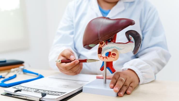 הנחיות קליניות עדכניות תומכות כיום בביצוע בדיקת נוגדנים ל-HDV בכל מטופל הידוע כנשא של HBV (צילום: shutterstock) כבד שומני