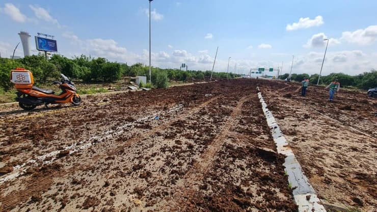 נפילות בנתב"ג