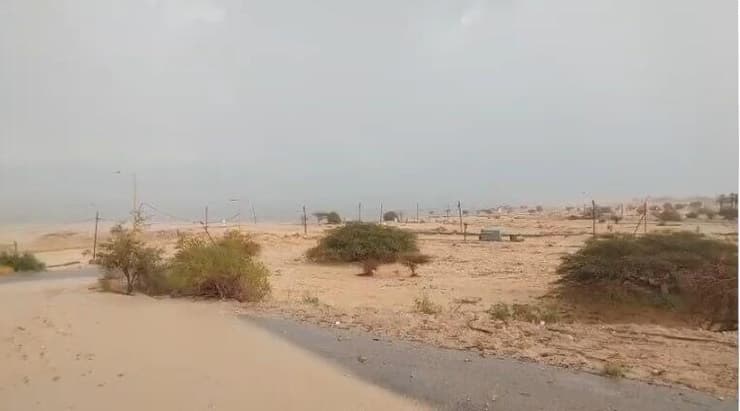 שיטפונות בנחל דוד