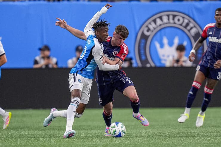 פיינגולד נאבק בזאהה