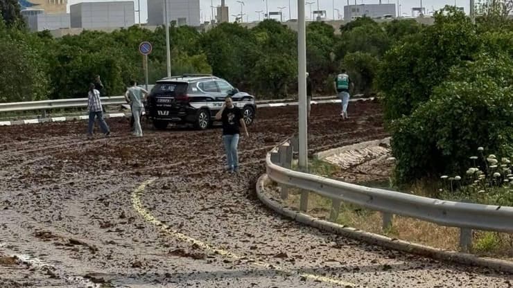נפילות בנתב"ג