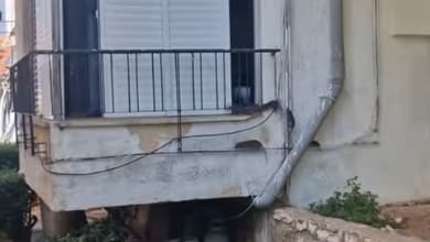 תיעוד כניסת חולדות לתוך דירה בבת ים