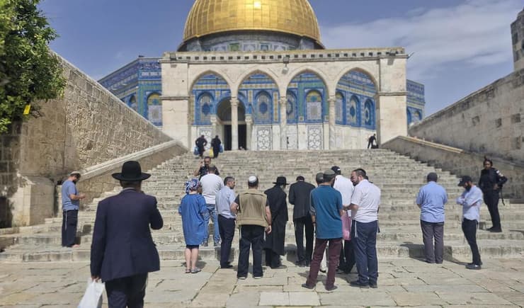 עולים יהודים להר הבית. "לא חלמנו על הכותל אלפיים שנה, חלמנו על מה שמעבר לו" (צילום: מרדכי יורבצקי) עולים יהודים להר הבית