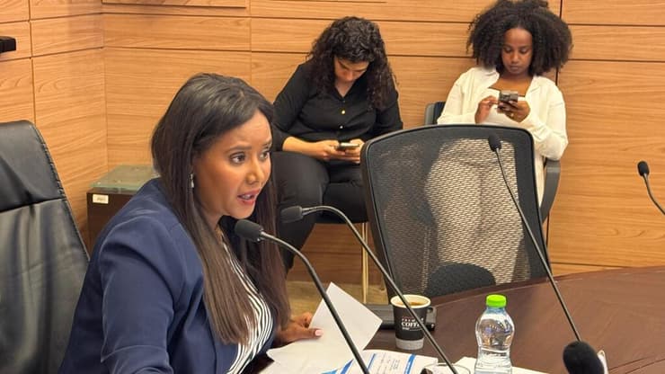 יו"ר הוועדה ח"כ פנינה תמנו שטה  