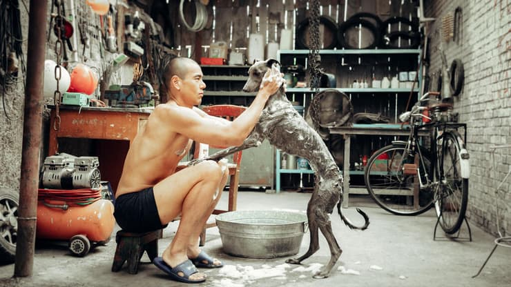 מתוך "כלב שחור"