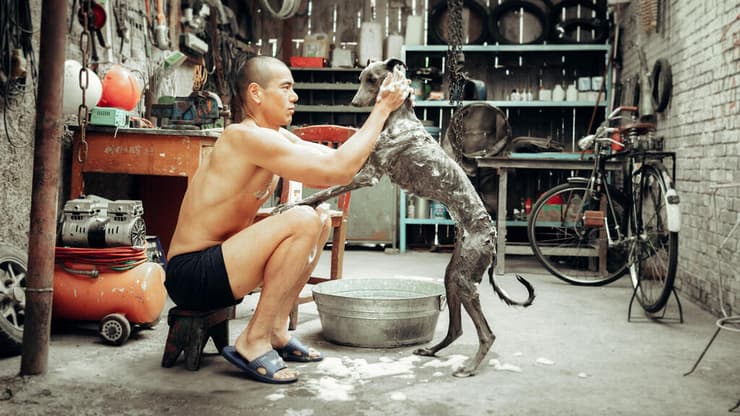 הרגיש טבעי לאמץ אותה. מתוך "כלב שחור" (צילום: באדיבות קולנוע חדש) מתוך "כלב שחור"