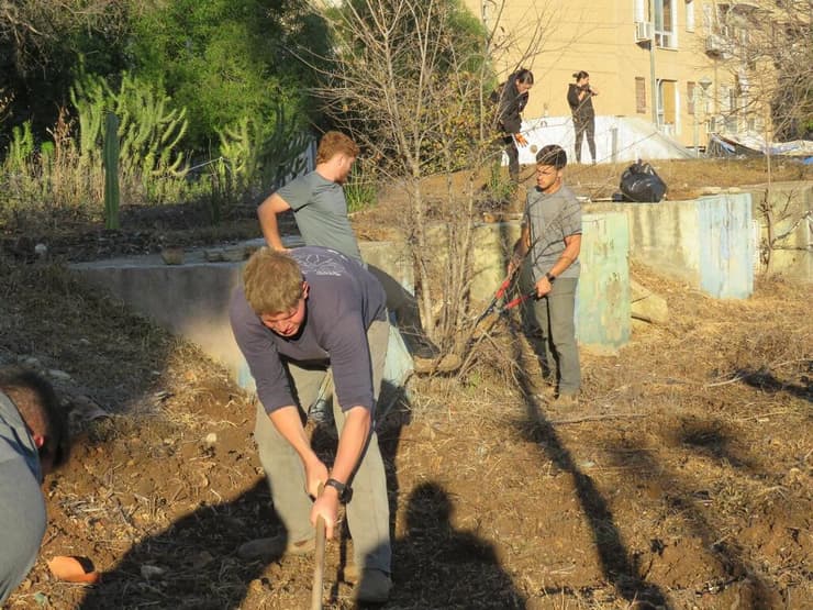 מעורבות קבועה בשכונה. החניכים משקמים גינה ציבורית בעיר שנחרבה במלחמה (צילום: באדיבות מכינת "תבור") החניכים משקמים את קריית שמונה