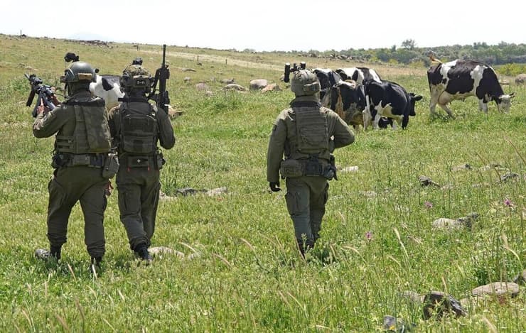 לוחמי גולני בסיור באזור החיץ (צילם אפי שריר) יואב קרן בסוריה בקו המוצבים החדש שעובר ליד הכפר ג'ובתא אל חשב, פעילות מבצעית פלוגה של גולני מגדוד 13