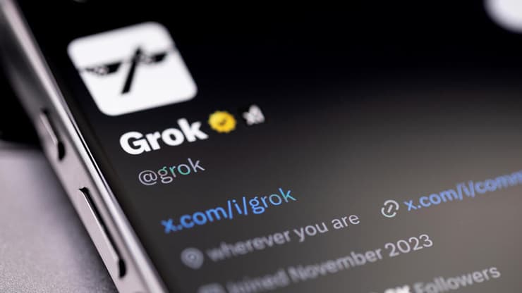 גרוק (צילום: Primakov/Shutterstock) גרוק