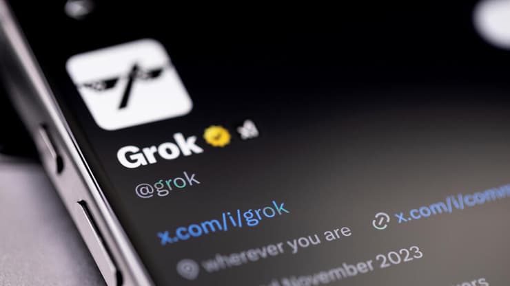גרוק (צילום: Primakov/Shutterstock) גרוק